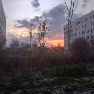 打屁屁黄片应用
