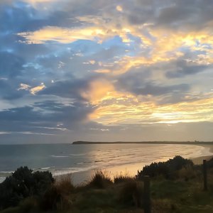 打屁屁黄片应用
