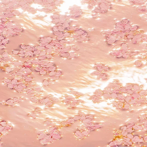 打屁屁黄片应用
