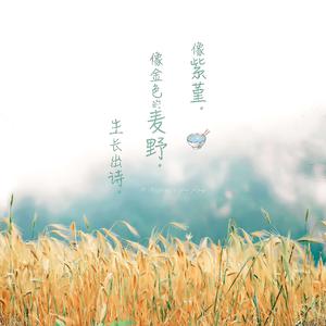 打屁屁黄片应用
